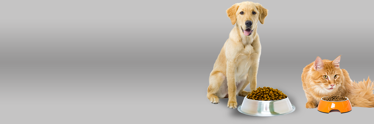 Mamalarda Büyük kampanya!